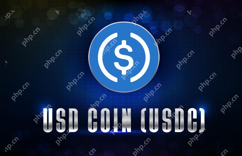 全球区块链支付平台大盘点：哪些平台更安全高效？